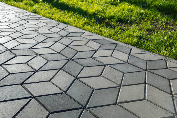 Best Commercial Driveway Paving in Blooming Prairie, MN